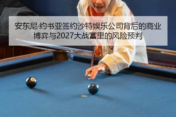 an-dong-ni-yue-shu-ya-qian-yue-sha-te-yu-le-gong-si-bei-hou-de-shang-ye-bo-yi-yu-da-zhan-fu-li-de-feng-xian-yu-pan-3-355.jpg