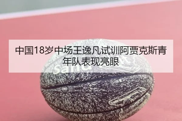 中国18岁中场王逸凡试训阿贾克斯青年队表现亮眼
